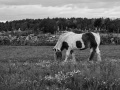 Albrunna (@120mm, f/8, 125s, ISO 100)