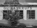 Gullaskruv (@52mm, f/8, 1/60s, ISO 125)