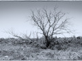 Z7C0523-edlrc2k