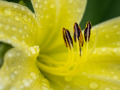 Z7B7978lrc2k