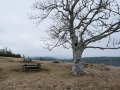F5E1812lrc_uhd