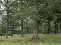 @37 mm | f/8 | 1/50 sek | ISO 500
