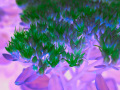 F5T7824-Redigeralrc_uhd