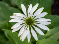 24-120mm @110mm | 1/60s | f/8 | ISO 500